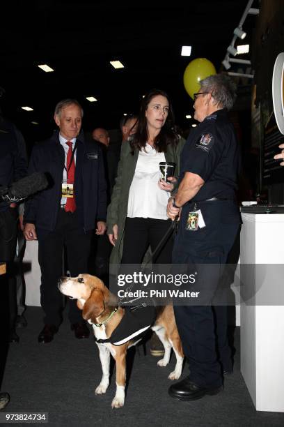 New Zealand Prime Minister Jacinda Ardern during a walkabout at the Mystery Creek Fieldays on June 14, 2018 in Hamilton, New Zealand. The public...