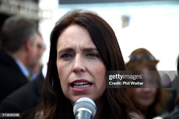 New Zealand Prime Minister Jacinda Ardern speaks to the media during the Mystery Creek Fieldays on June 14, 2018 in Hamilton, New Zealand. The public...