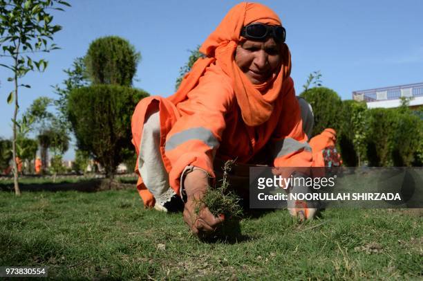 In this photograph taken on April 23 a female Afghan municipality employee, supported by United Nations agency UN-Habitat, removes weeds at a garden...
