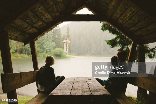 groupe of friends in the forest - abrigar se imagens e fotografias de stock