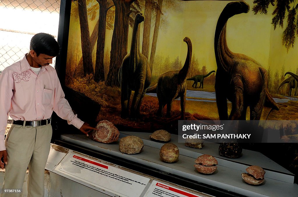 India Rathod R Indian Nature Educator Natwarsinh Rathod shows details of Sauropod ...
