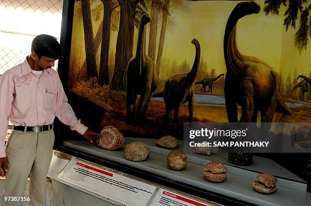 N R Rathod Indian Nature Educator Natwarsinh Rathod shows details of Sauropod ...