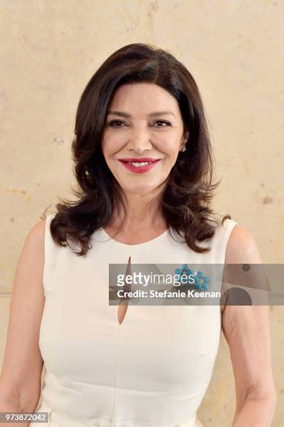 Shohreh Aghdashloo attends the Women In Film 2018 Crystal + Lucy Awards presented by Max Mara, Lancôme and Lexus at The Beverly Hilton Hotel on June...