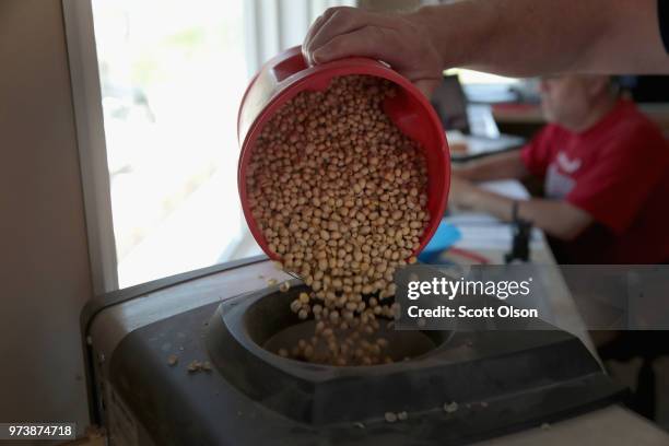 Greg Lovins checks the quality of a load of soybeans being delivered to a Ruff Bros. Grain elevator on June 13, 2018 in Blackstone, Illinois. U.S....