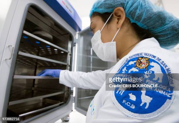 Research assistants of Peruvian scientist Martha Valdivia, a biology professor at the University of San Marcos, check procedures at a lab on the main...