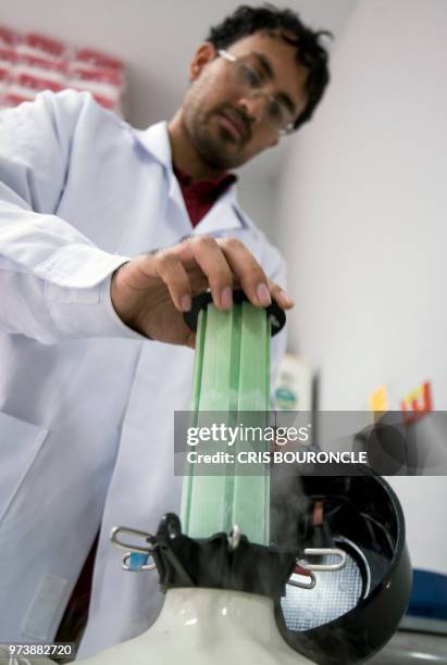 Research assistants of Peruvian scientist Martha Valdivia, a biology professor at the University of San Marcos, check procedures at a lab on the main...