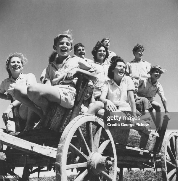 Young members of the Givat Brenner Kibbutz on their way to pick a tomato crop, Israel, circa 1950.