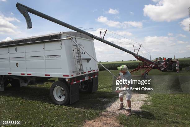 Farmer John Duffy loads soybeans from his grain bin onto a truck before taking them to a grain elevator on June 13, 2018 in Dwight, Illinois. U.S....