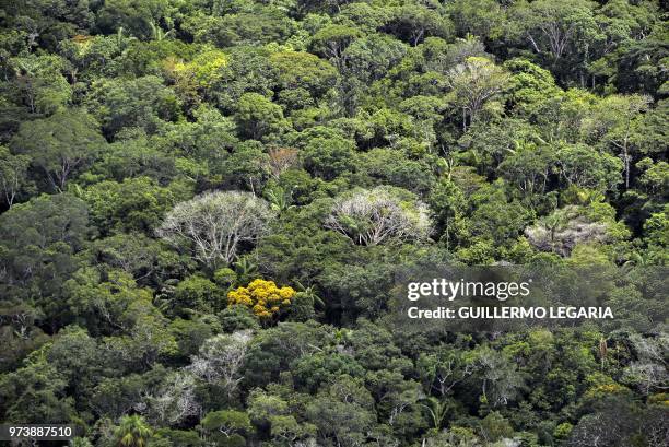 Aerial view of the Serrania de Chiribiquete, located in the Amazonian jungle departments of Caqueta and Guaviare, Colombia, on June 7, 2018. - The 2...