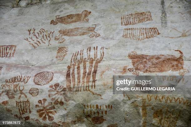 View of rock art at the Cerro Azul hill in Serrania La Lindosa in the Amazonian jungle department of Guaviare, Colombia, on June 8, 2018. The...