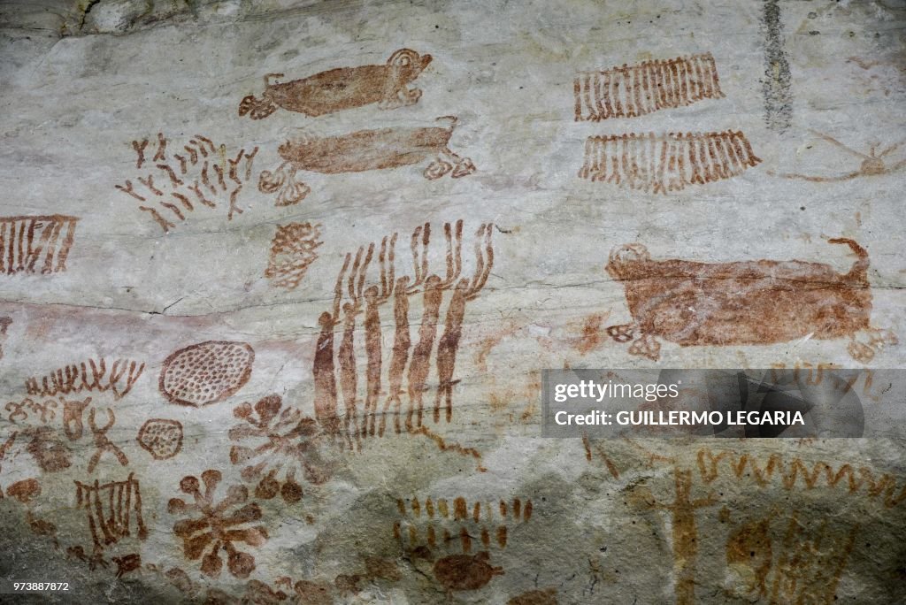 COLOMBIA-PEACE-ARCHAEOLOGY-SERRANIA-LA LINDOSA-ROCK ART