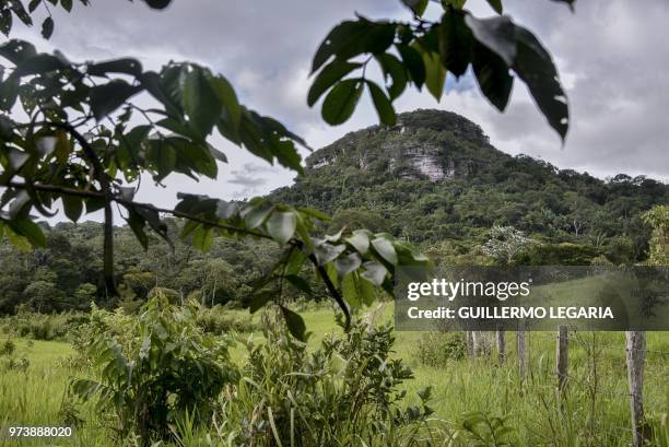 View of the Cerro Azul hill in the Serrania La Lindosa in the Amazonian jungle department of Guaviare, Colombia, on June 8, 2018. - The Serrania La...