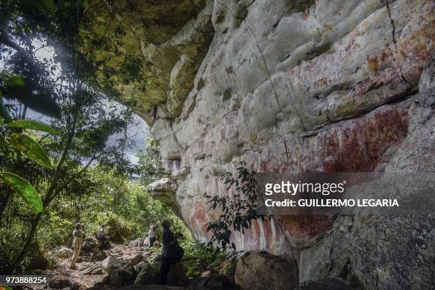 French and Colombian anthropologists tour the prehispanic rock art at the Cerro Azul hill in the Serrania La Lindosa in the Amazonian department of...