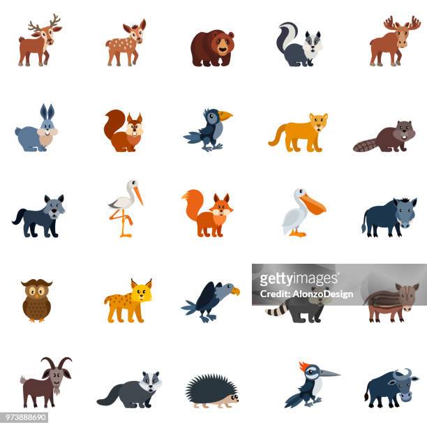 forest birds and animals - cartoon wolf stock illustrations