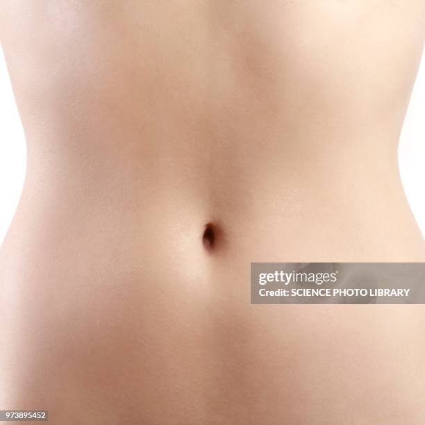 woman's abdomen - human abdomen ストックフォトと画像