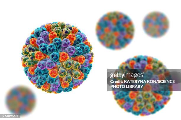 ilustraciones, imágenes clip art, dibujos animados e iconos de stock de rotavirus particle, illustration - cápside