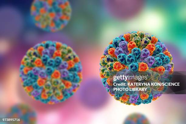 rotavirus particle, illustration - capsid stock illustrations