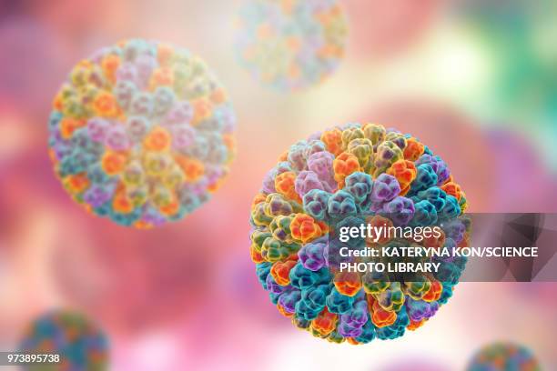 rotavirus particle, illustration - capsid stock illustrations