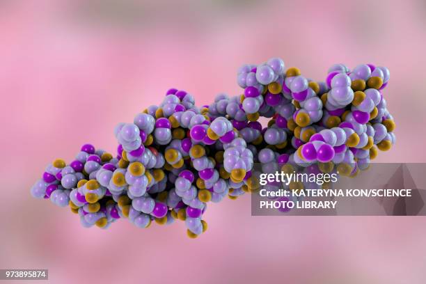 chorionic gonadotropin molecule, illustration - glycoprotein stock illustrations