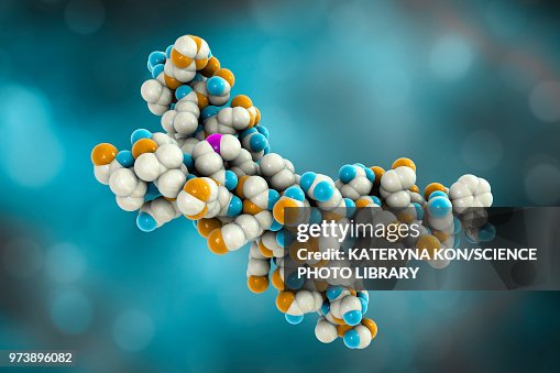 Parathyroid hormone molecule Parathyroid hormone molecule