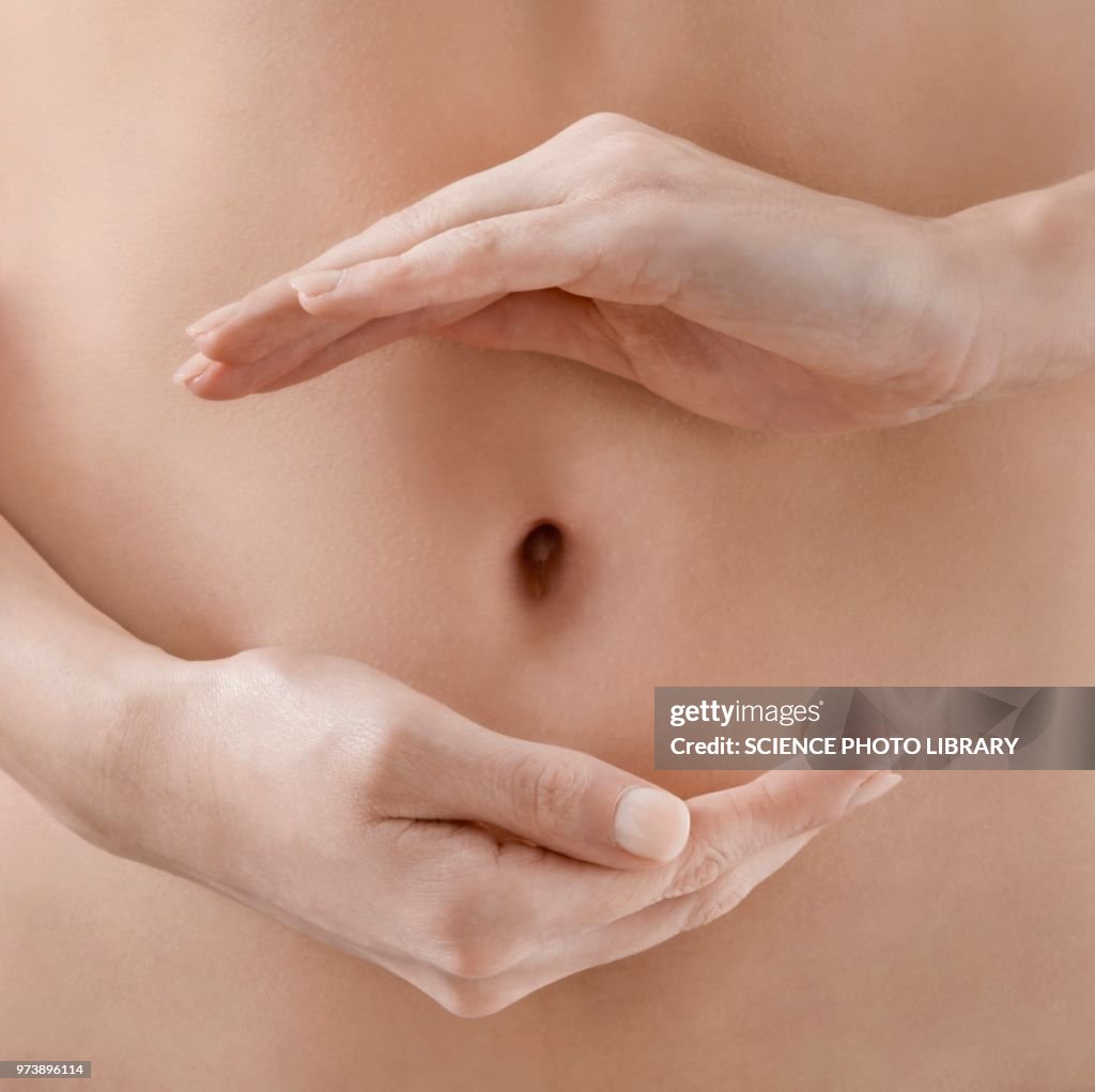 Digestive health, conceptual image