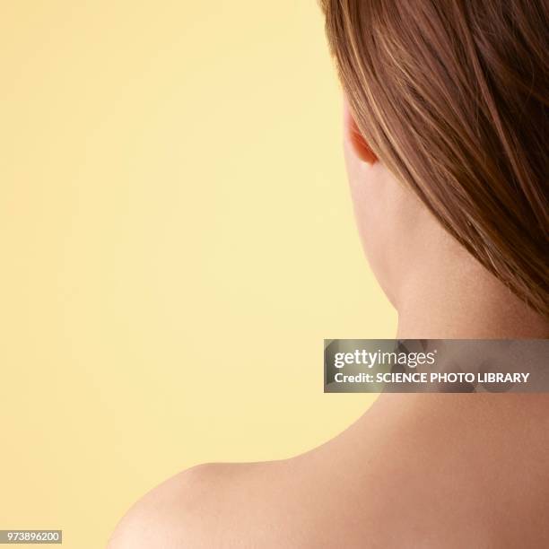 Square Shouldered 10,221 Square Shoulder Stock Photos, High-Res Pictures, and Images ...