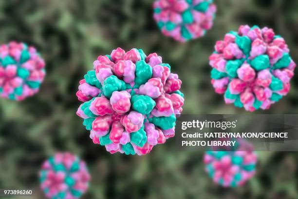 norovirus, illustration - norovirus stock illustrations