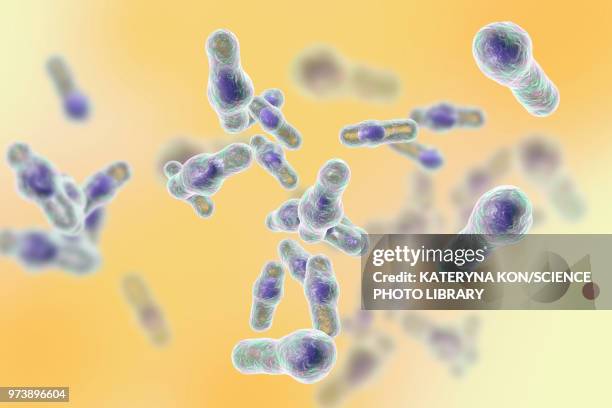clostridium bacteria, illustration - clostridium stock illustrations