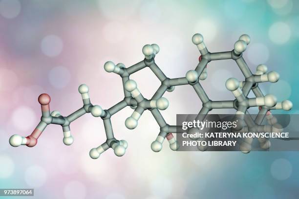 bildbanksillustrationer, clip art samt tecknat material och ikoner med cholic acid molecule - syra