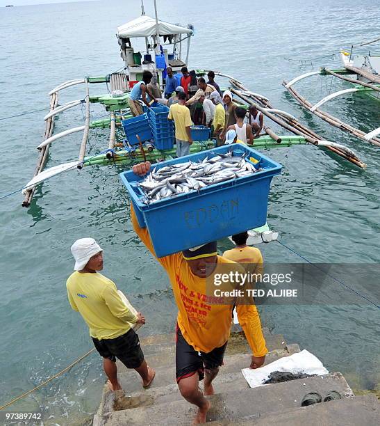 Workers unload newly caught fish for sale at the fishport in Danao town, in Philippine's central province of Cebu, on March 2, 2010. Philippine...