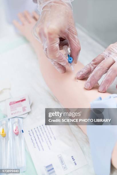 doctor practising inserting an iv line - inserting iv stock pictures, royalty-free photos & images