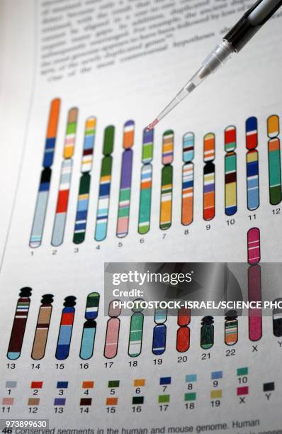 dna research - photostock stock pictures, royalty-free photos & images