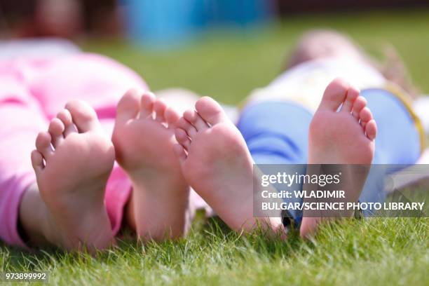 261 Young Girl Soles Feet Stock Photos High Res Pictures And Images 261-young-girl-soles-feet-stock-photos-high-res-pictures-and-images