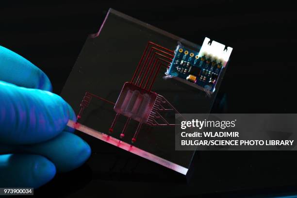 76 Biochip Stock Photos, High-Res Pictures, and Images - Getty Images