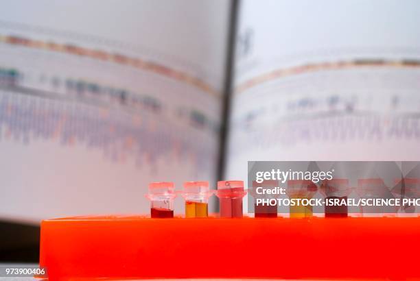 dna research - photostock 個照片及圖片檔