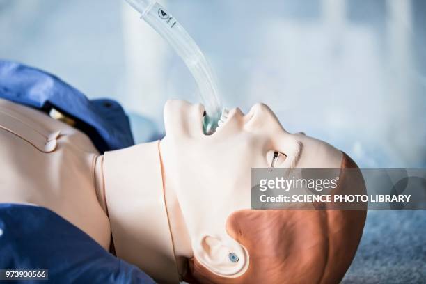 intubation training dummy - befreiung atmen stock-fotos und bilder