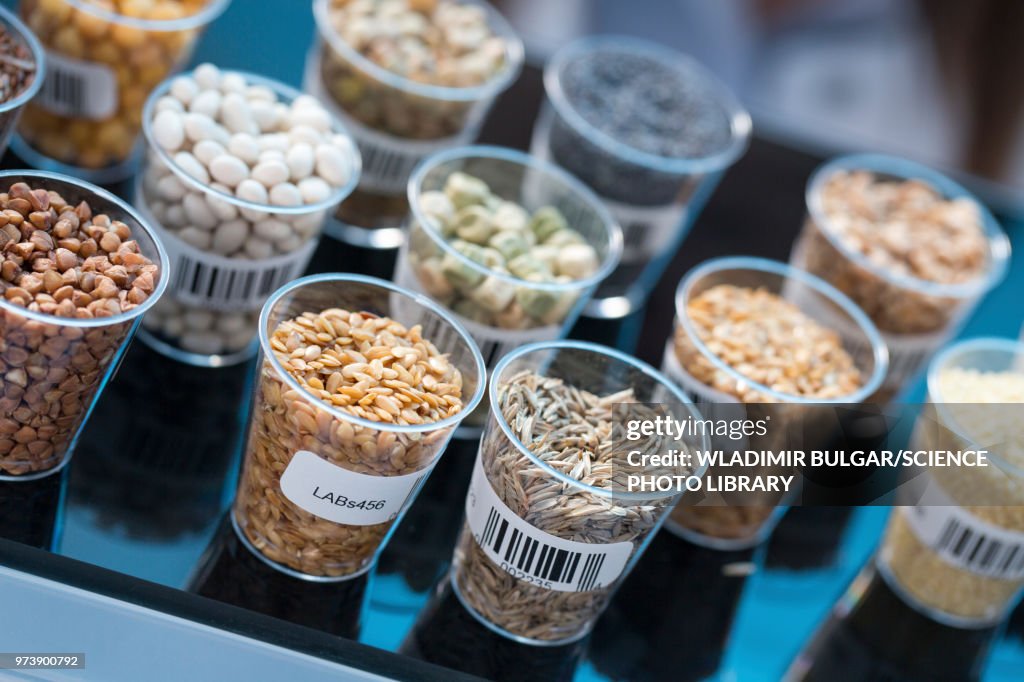 Seeds and cereals in food safety laboratory