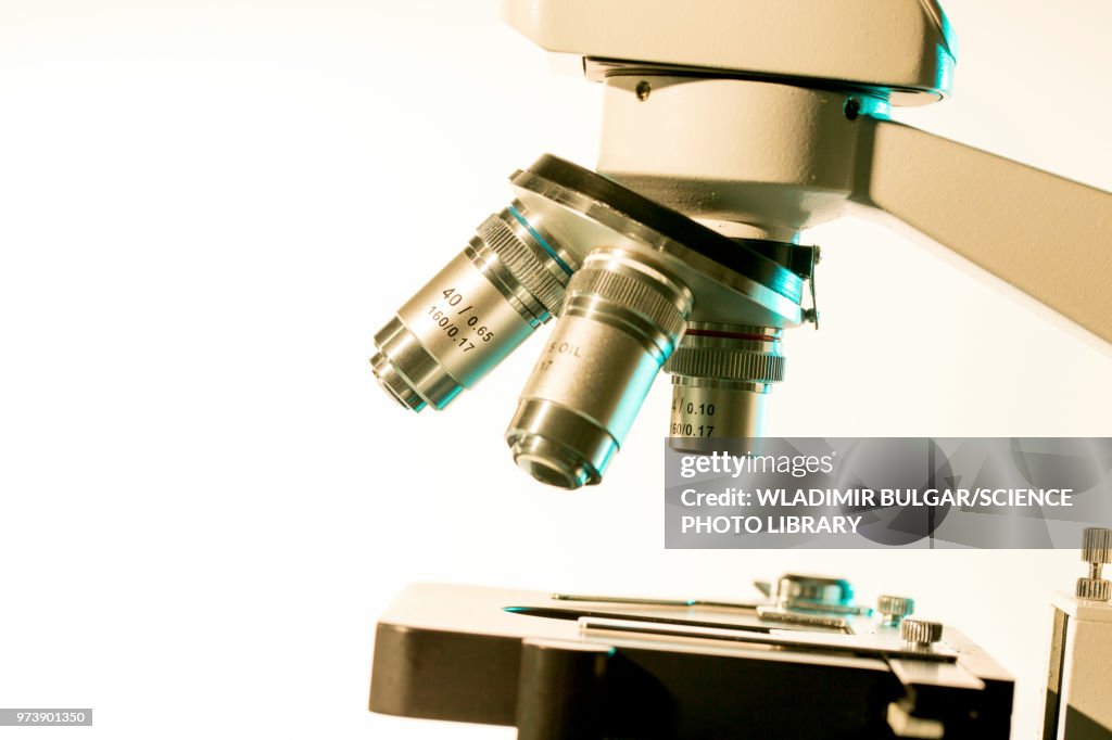 Light Microscope Scale Light Microscope Stage And Lenses High-Res Stock Photo - Getty Images