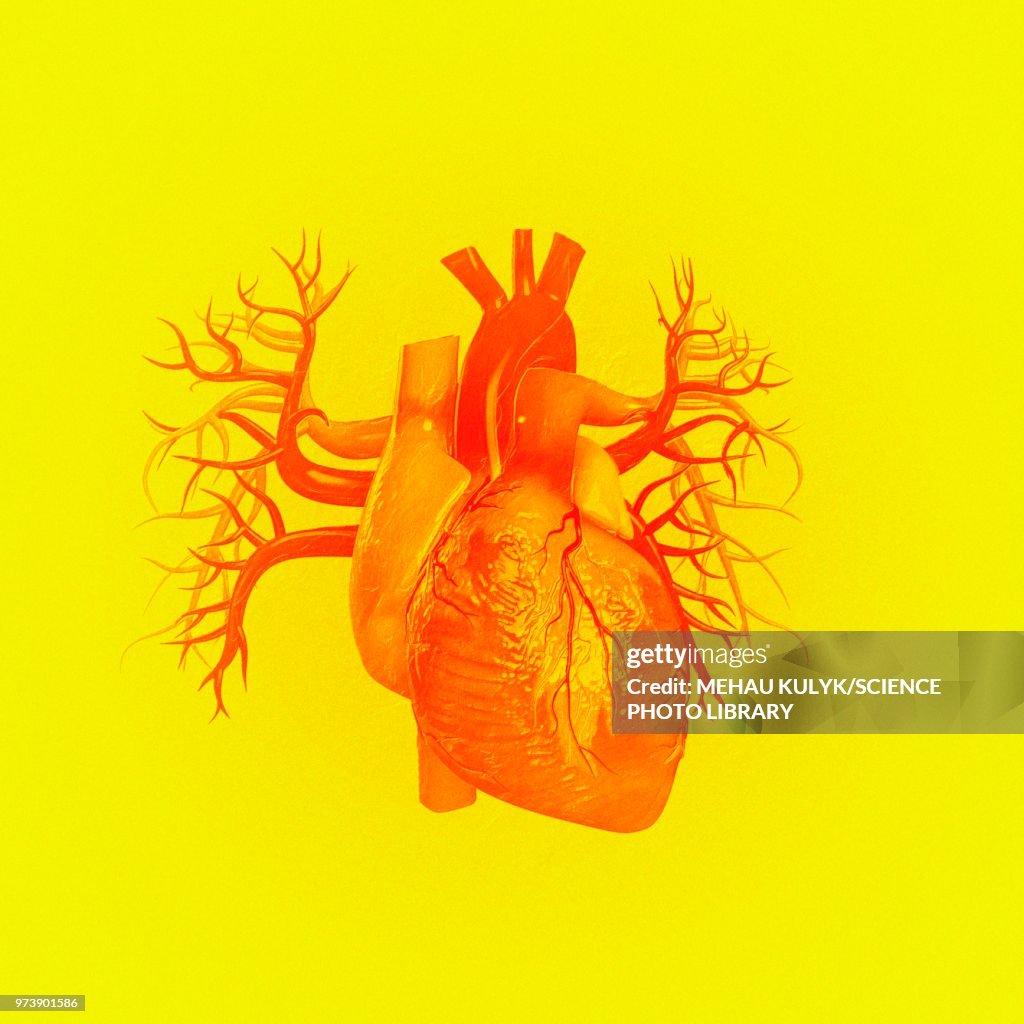 Heart against yellow background, illustration