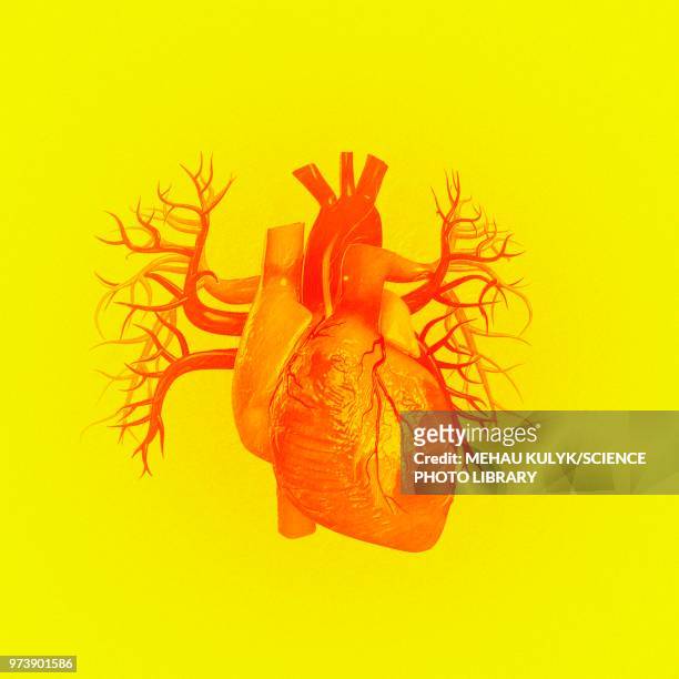 heart against yellow background, illustration - human internal organ stock illustrations
