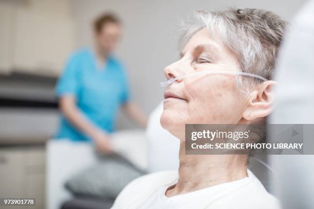 woman with nasal cannula - nasal cannula foto e immagini stock