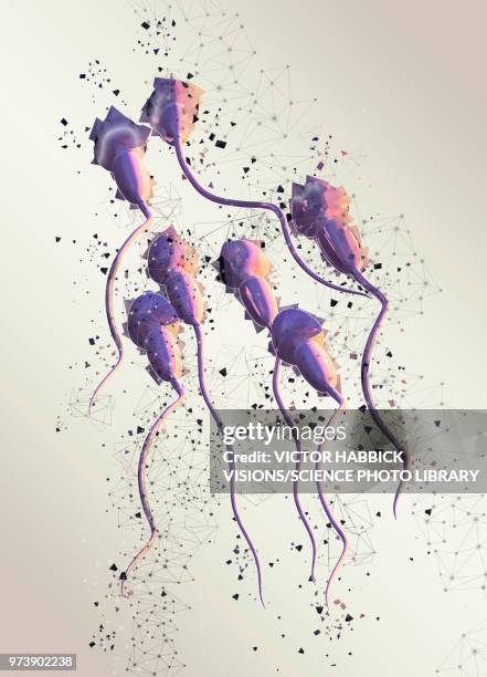 human sperm, illustration - victor habbick stock illustrations