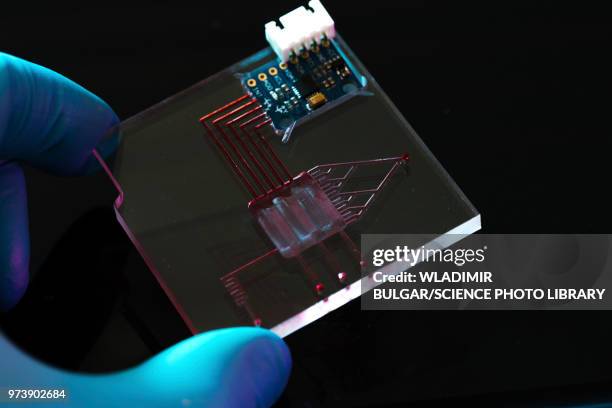 77 Biochip Stock Photos, High-Res Pictures, and Images - Getty Images
