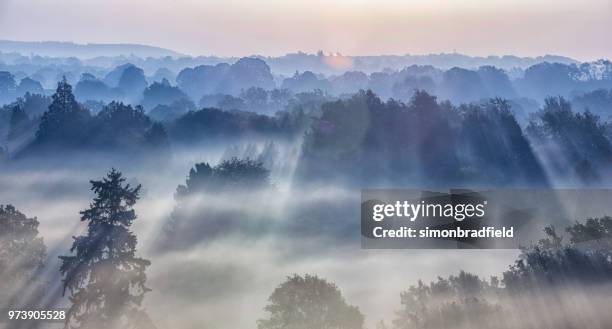 alba sulle colline del surrey - surrey inghilterra foto e immagini stock