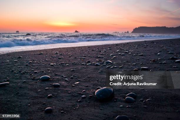rialto beach - rialto beach stock pictures, royalty-free photos & images