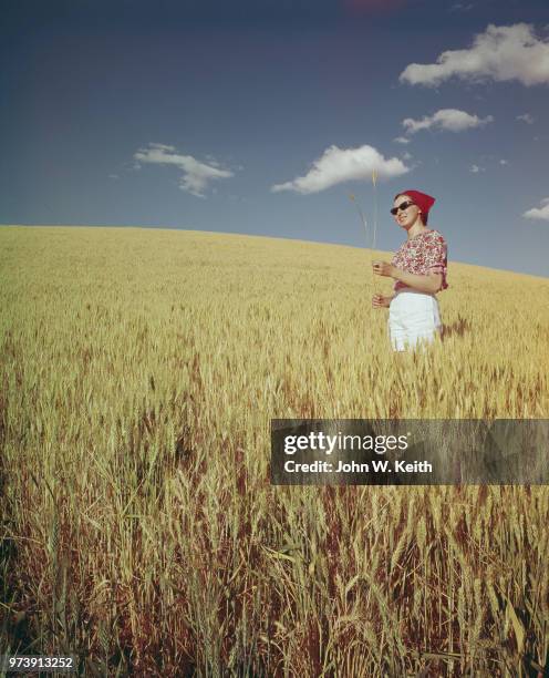 Young woman standing in a field of wheat, Eastern Washington, United States, circa 1960.