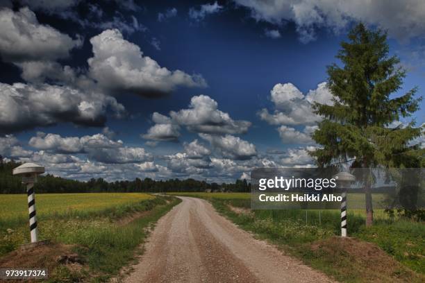 road to estonia - alho bildbanksfoton och bilder
