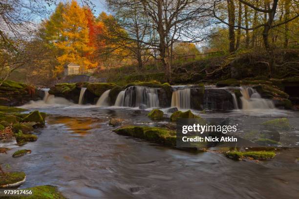 waterfall and autumn colours, river derwent. - derwent river stockfoto's en -beelden