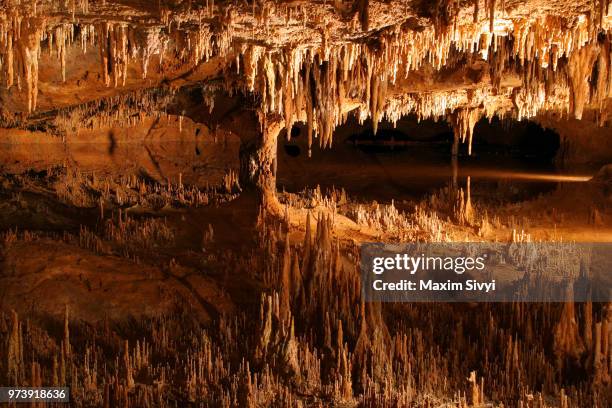 cave with stalactites and stalagmites, luray caverns, virginia, usa - stalagmite stock pictures, royalty-free photos & images