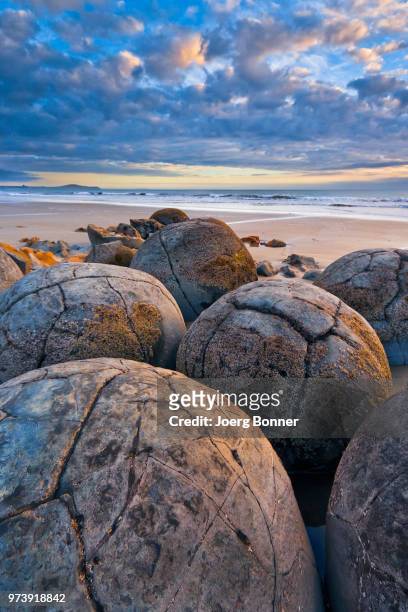 moeraki boulders on beach at sunrise, otago, new zealand - moeraki boulders stockfoto's en -beelden